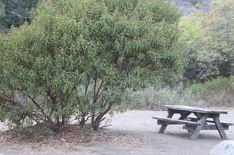 Enlarge photo 113