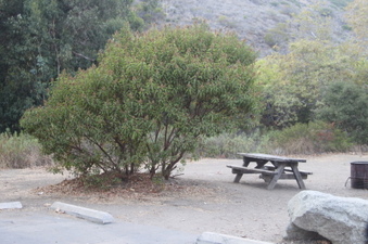Enlarge photo 114