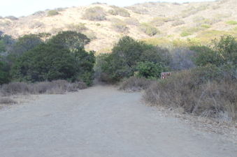Enlarge photo 123