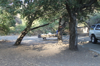 Enlarge photo 126