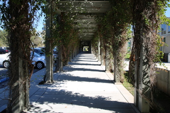 Enlarge photo 37