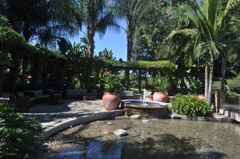 Enlarge photo 75