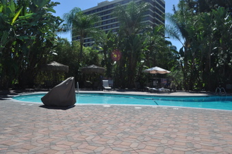 Enlarge photo 84