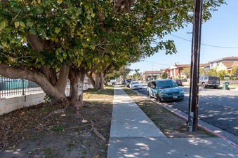 Enlarge photo 91
