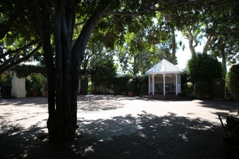 Enlarge photo 81