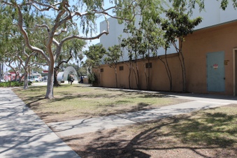 Enlarge photo 23