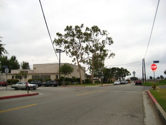 Enlarge photo 2