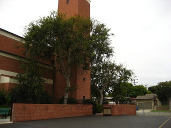 Enlarge photo 7