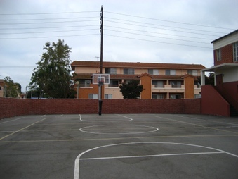 Enlarge photo 62