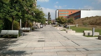 Enlarge photo 23