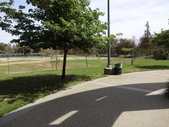Enlarge photo 33