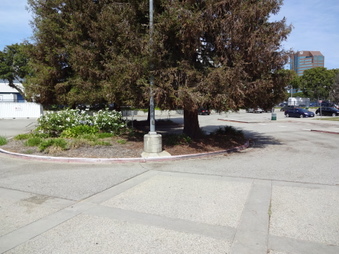 Enlarge photo 41