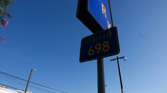 Alley Adjacent to city lot 698