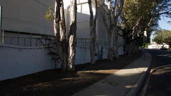 Enlarge photo 10
