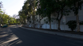 Enlarge photo 16