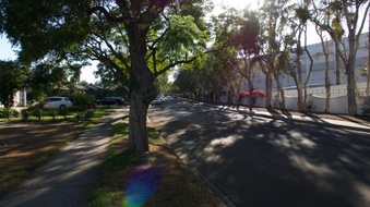 Enlarge photo 19