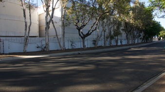 Enlarge photo 21