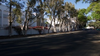 Enlarge photo 24