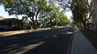 Enlarge photo 25