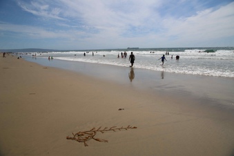 Enlarge photo 19