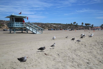 Enlarge photo 20