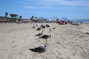 Enlarge photo 21