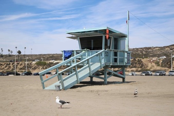 Enlarge photo 33