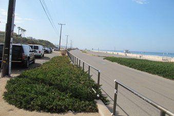Enlarge photo 41