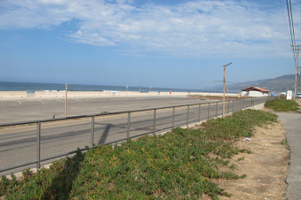 Enlarge photo 43