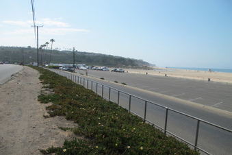 Enlarge photo 44