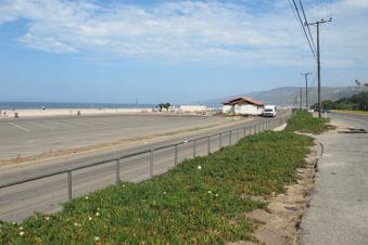 Enlarge photo 45