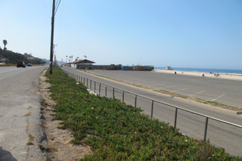 Enlarge photo 48