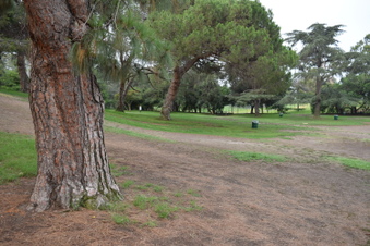 Enlarge photo 31