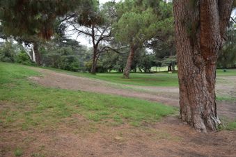 Enlarge photo 32