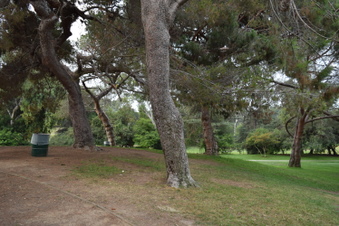 Enlarge photo 33