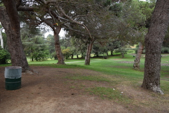 Enlarge photo 34