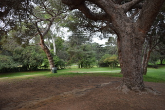 Enlarge photo 35