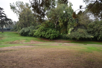 Enlarge photo 37