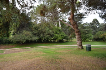Enlarge photo 38