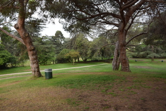 Enlarge photo 39