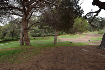 Enlarge photo 40