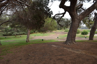 Enlarge photo 41