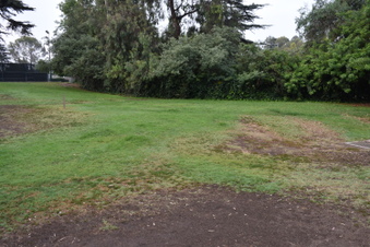 Enlarge photo 42