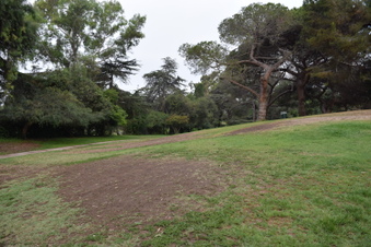 Enlarge photo 43