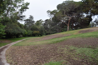 Enlarge photo 45