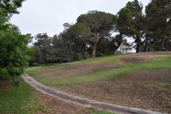 Enlarge photo 46
