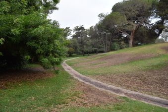 Enlarge photo 47