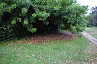 Enlarge photo 48