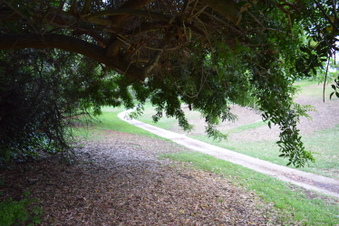 Enlarge photo 49