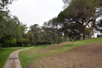Enlarge photo 50